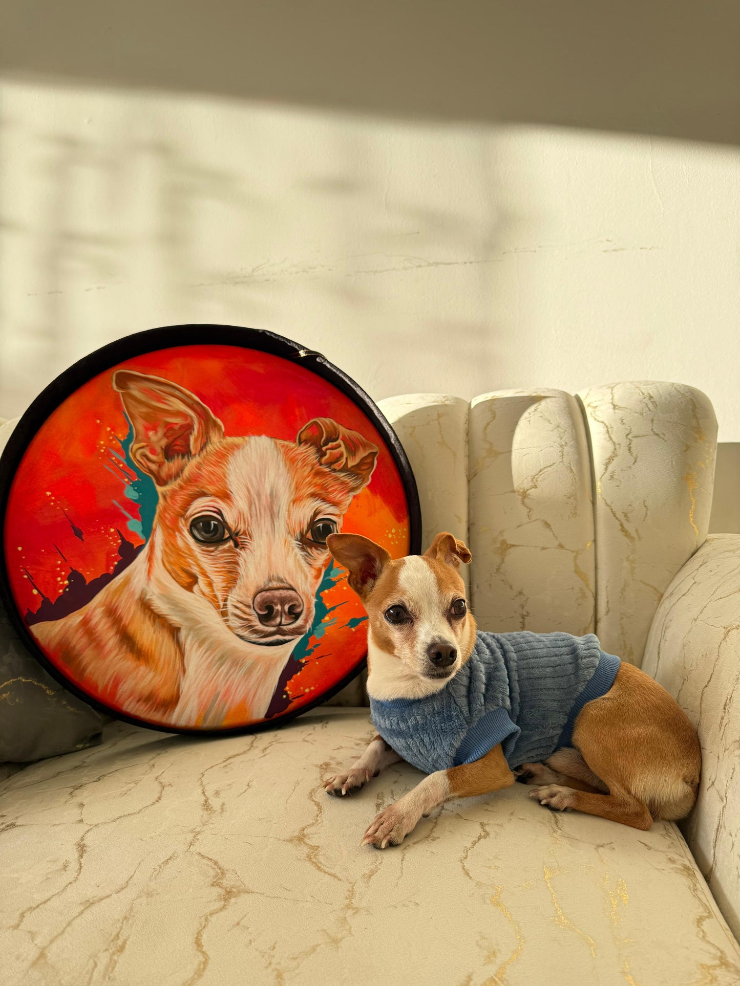 Inmortaliza a tu mejor amigo 🤩